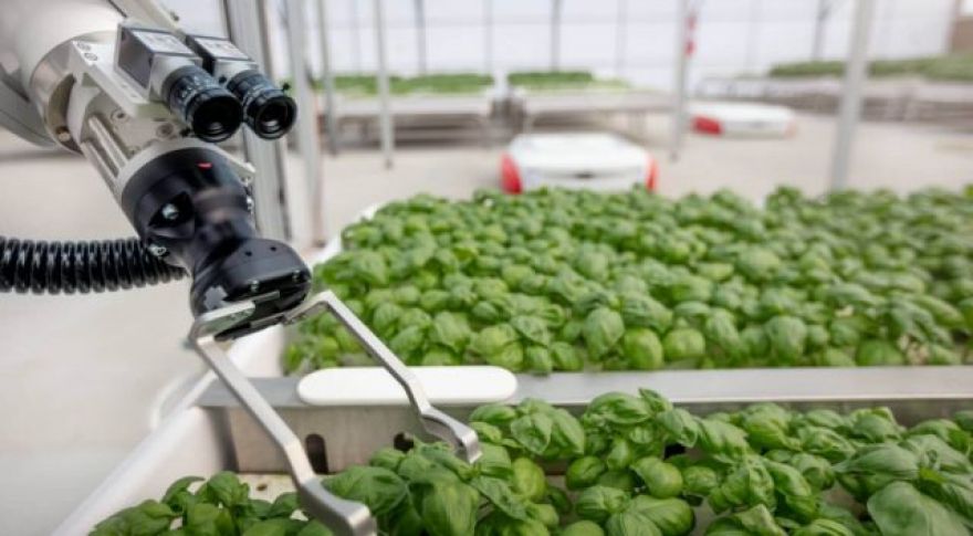 This California Greenhouse is Run by Robots