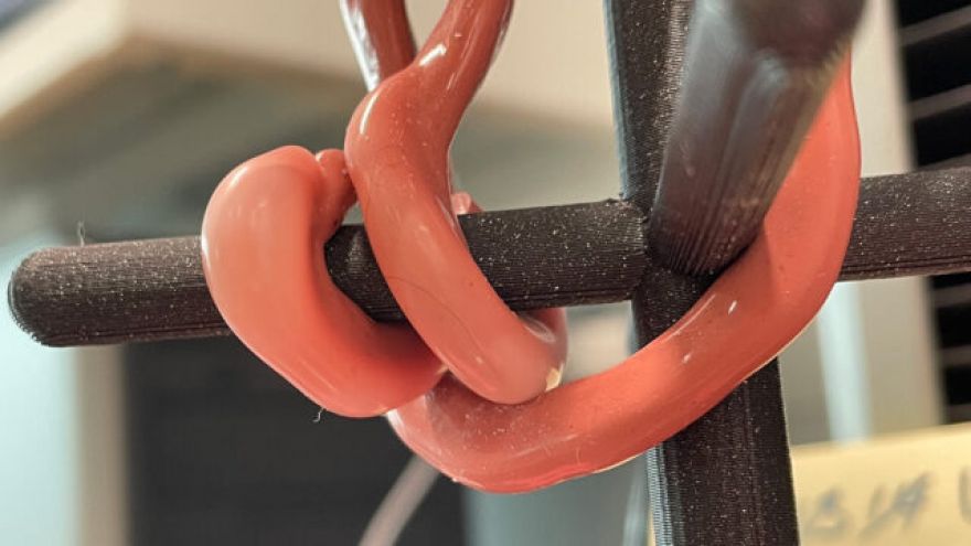 Harvard Scientists Invent Gripping Robot With Soft, Inflatable Tentacles