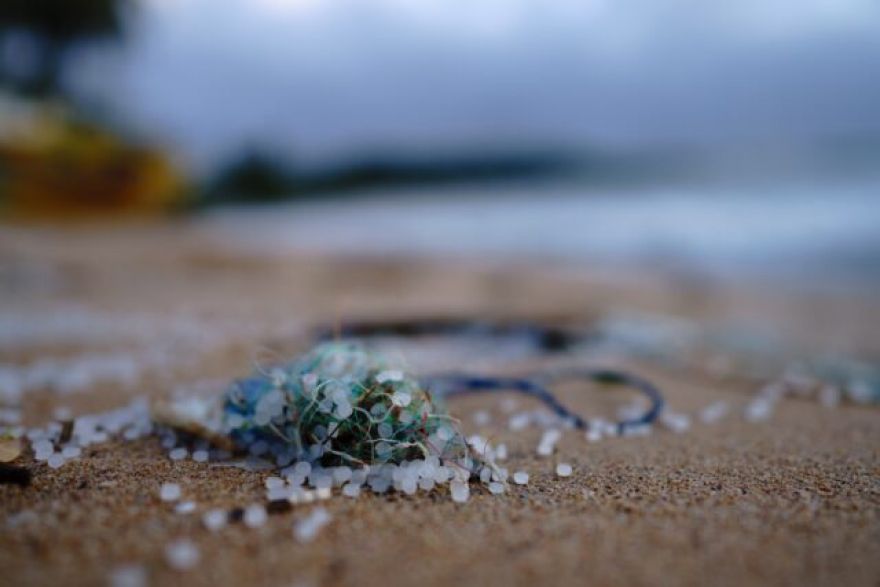 Self-Propelled Robo-Fish Can Grab Microplastics Out of the Ocean